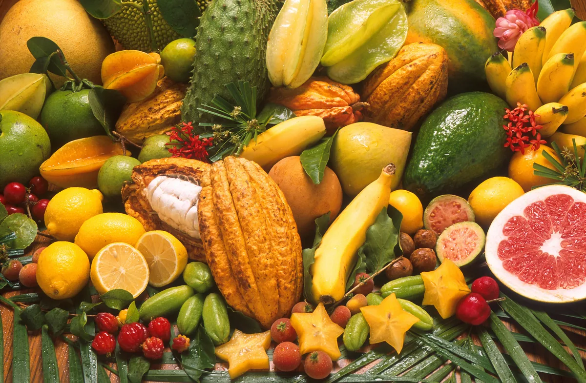 Assortiment de fruits exotiques : carambole, mangue, cacao, fruit de la passion