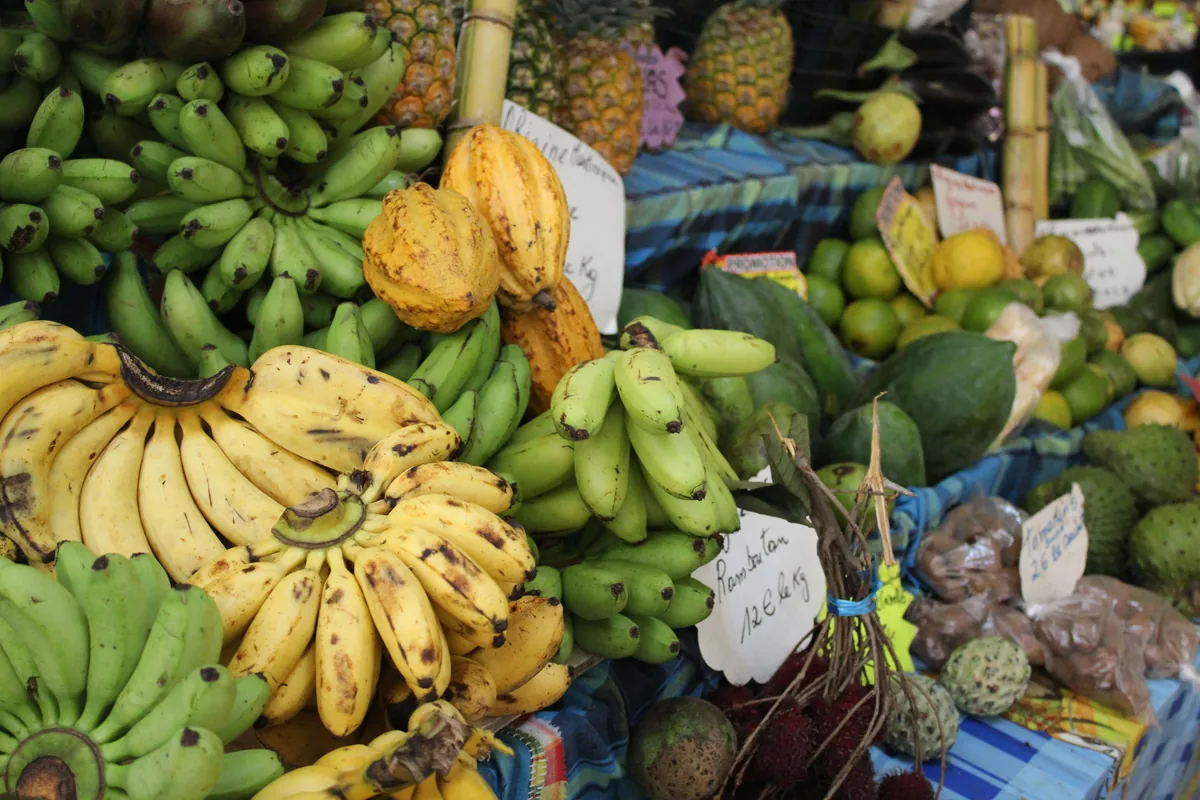 Régimes de bananes plantain et fruits tropicaux sur un étal